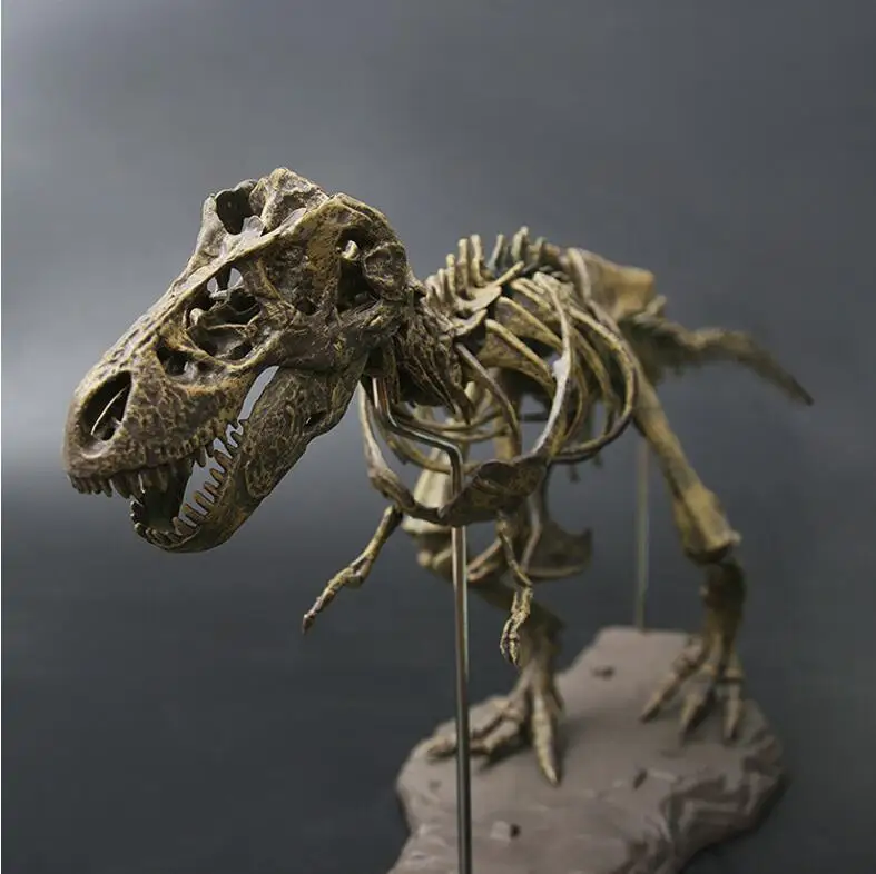 12 pcs Dino Fossil Figure Dinosaur Skeleton Simulation Model Kids Toy Xiaobl 