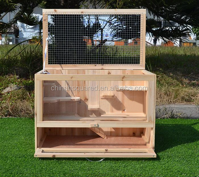 Perspex rabbit clearance hutch