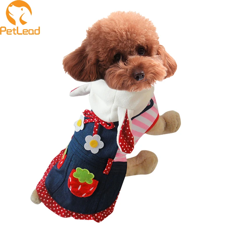 Cute Dog Clothes Winter Used Dog Clothes Strawberry Coat Dog Clothes