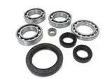 Boss Bearing 41-3403-7E6 Front Differential Bearings and Seals Kit Yamaha YFM350FA Bruin 4WD 2004-2006