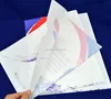 Custom plastic a4 size clear file folder