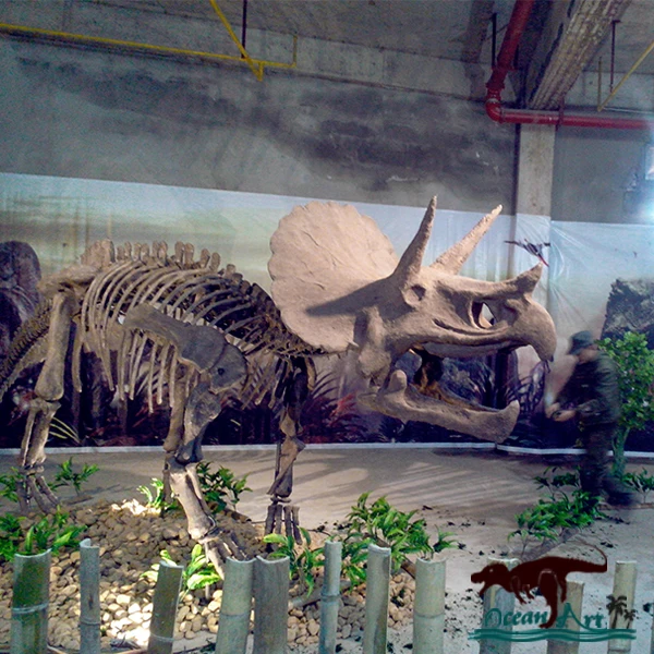 life size dinosaur skeleton for sale