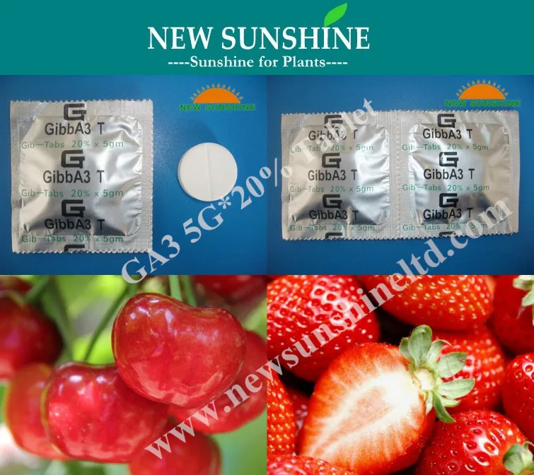GA3 20% TB For cherry, strawberry.jpg