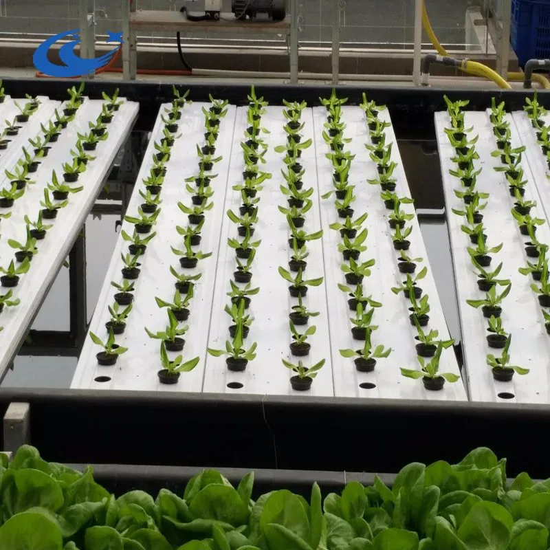 Hydroponic Systems Growing Tables For Vegetable,Fruit Buy Greenhouse