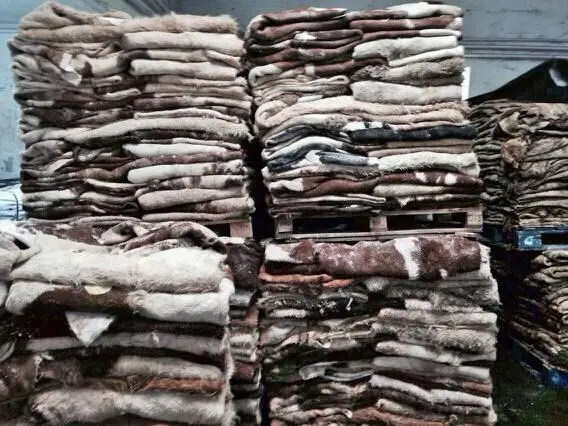 wet and dry salted cow hides for sale