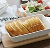 Double Handle Oven Microwave Ceramic Plates Bakeware OEM