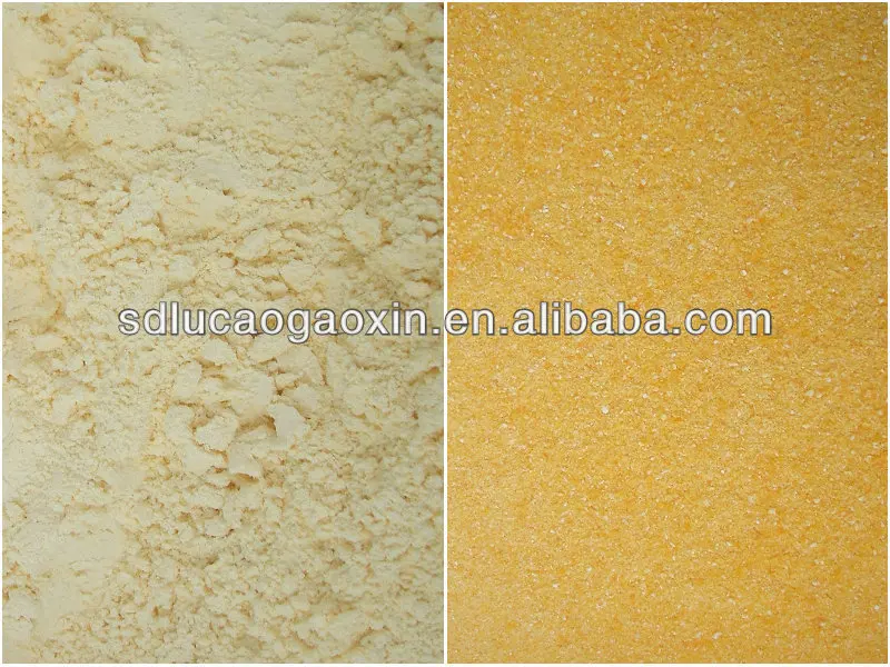 corn flour and corn meal