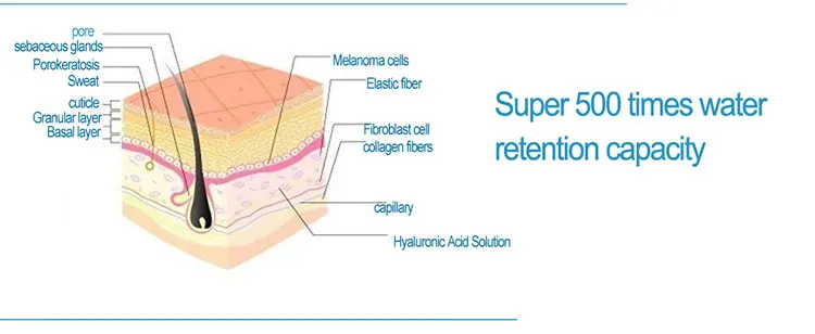 custom private label meso serum for beauty salon