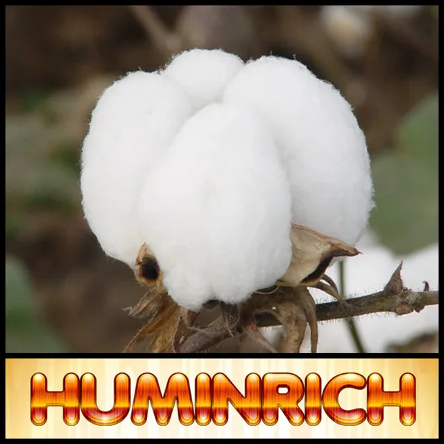 black strong humic