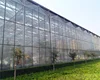 Complete polycarbonate agriculture greenhouse project builder and contractor for tomato planting with full system