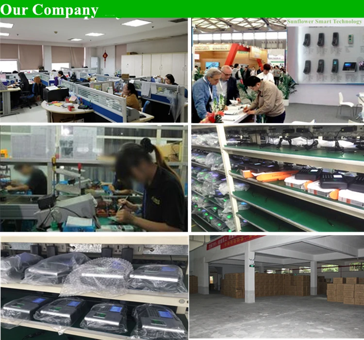 our company.jpg