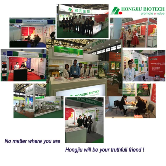 paste-pic-dp_uuid_w8l8n