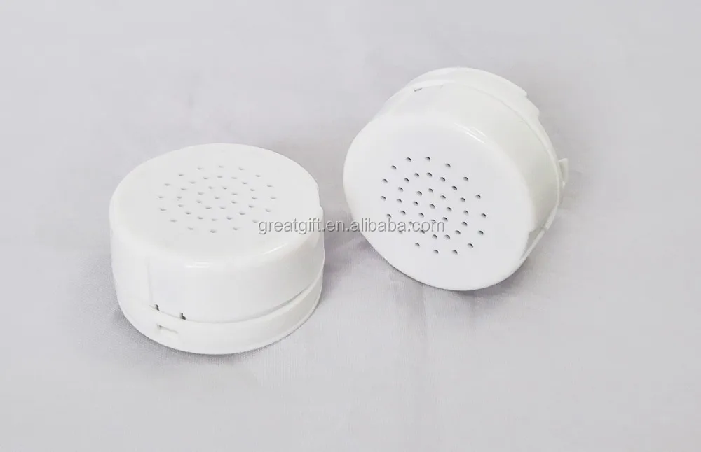 Mini Voice Recorder For Plush Toy Recorder Voice Recorder Vinyl