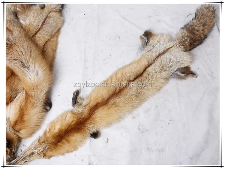 Tail） Real Fox Head Face Pelt Tanned Fox Skin Fox Tail Fur Hide（Bag with Head 