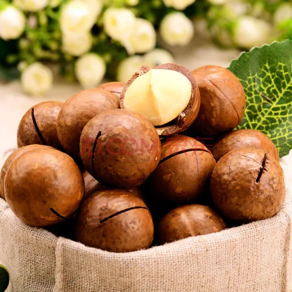 high performance and good quality queenslandnut/macadamia nut sl