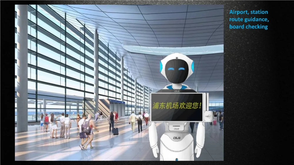 Intelligent Humanoid Robot For Exhibition Hall Multi-function Open Api ...