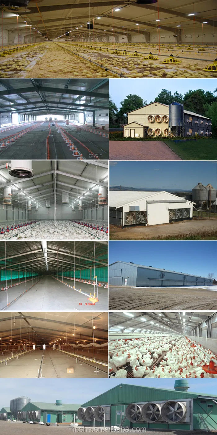 Modern Design Poultry Farm Building Prefabricated Houses Steel ...