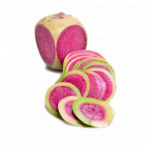 radish red natural pigment food additive