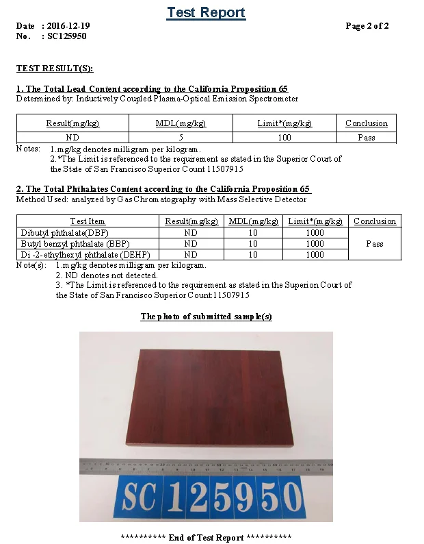 paste-pic-dp_uuid_4du0f