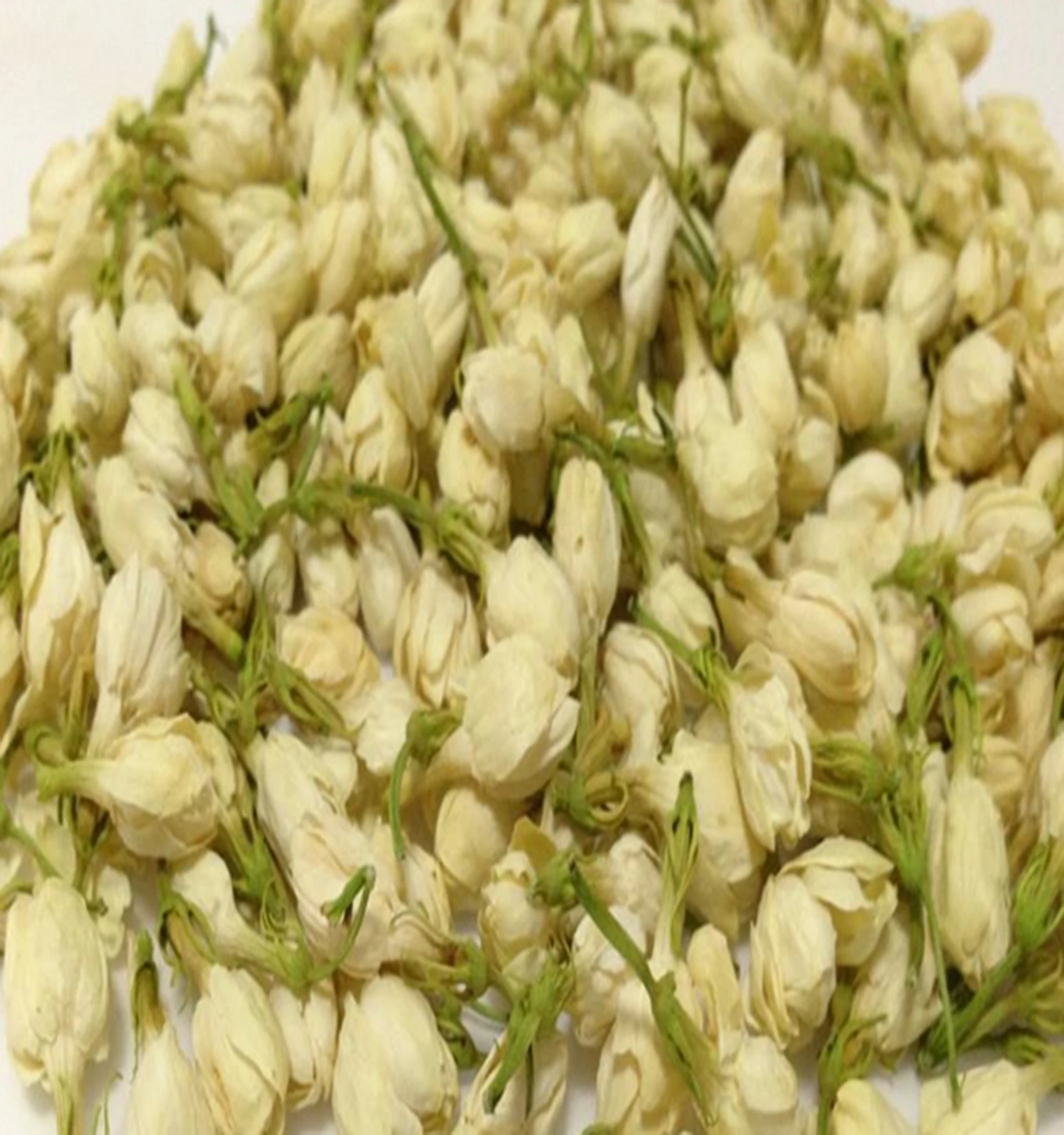 100 Nature Famous Jasmine Buds Flower Tea Buy Jasmine Buds Flower