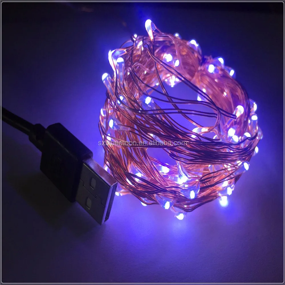 10m100leds Warmwhite Usb Charge Mini Led String Lights Buy Usb Charge