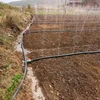 PE material Irrigation layflat hose rain hose pipe