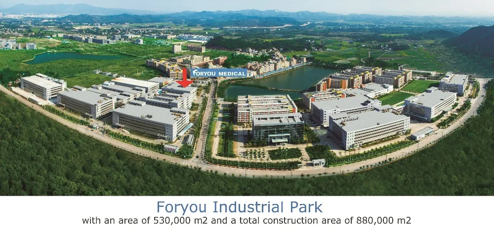 silver ion alginate dressing