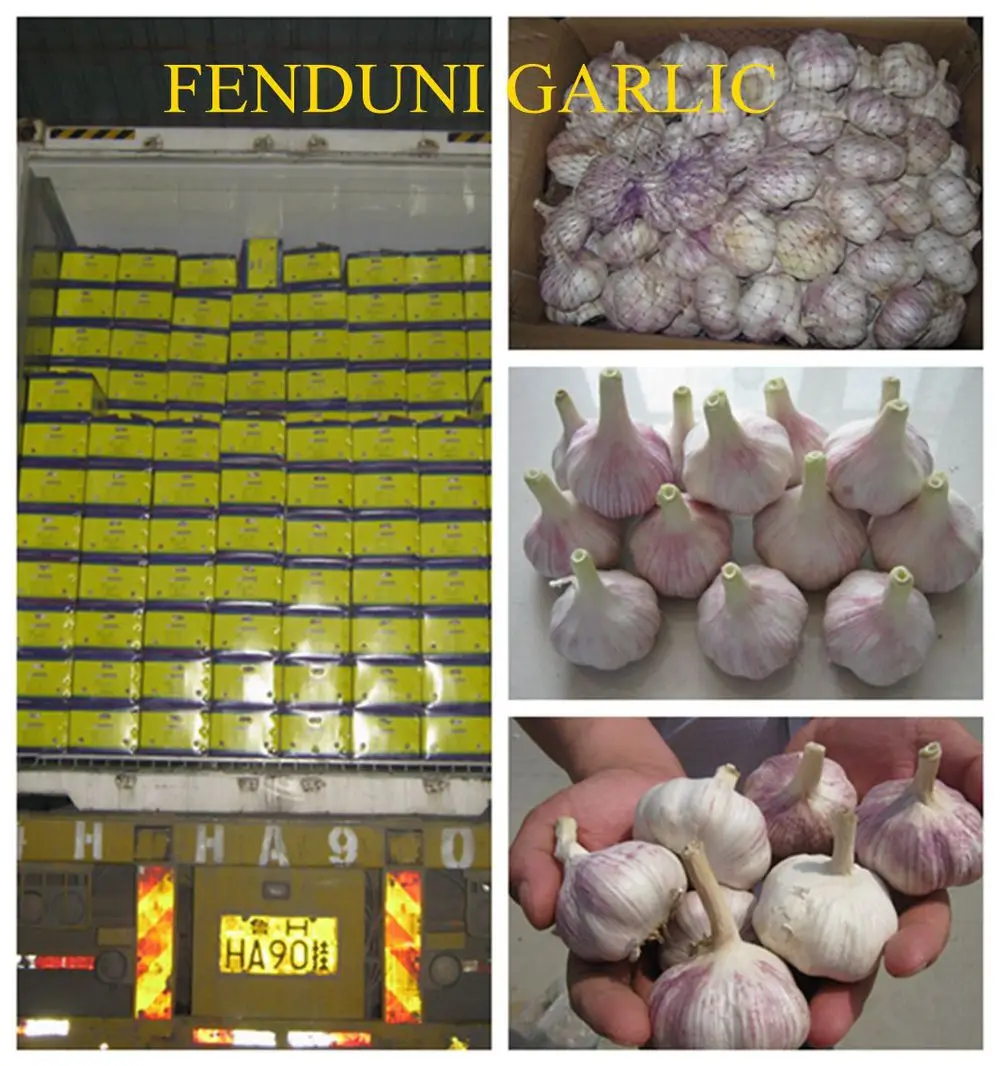 China White Fresh Garlic Small Packaging 6p/5p/4p/3p/2p/1p garlic