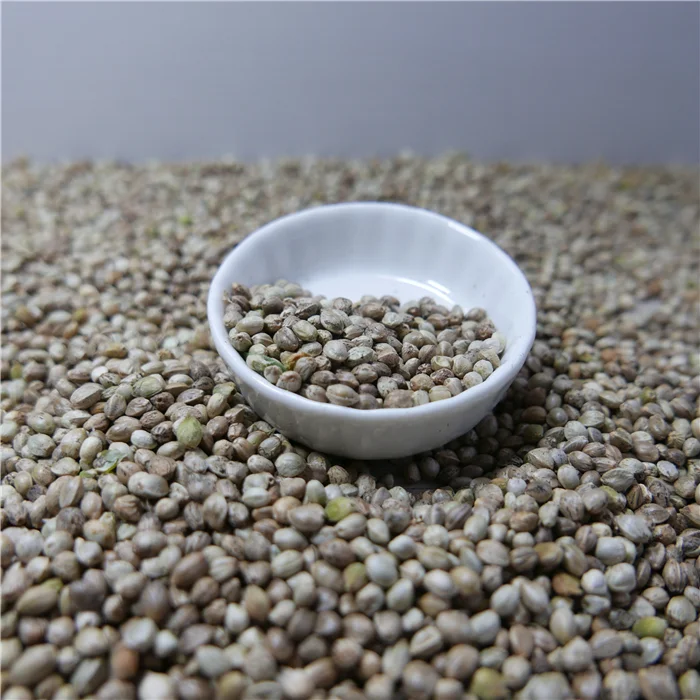 The Hemp Seeds Fpr Bird Food Buy Bird Food,High Protein Bird Food