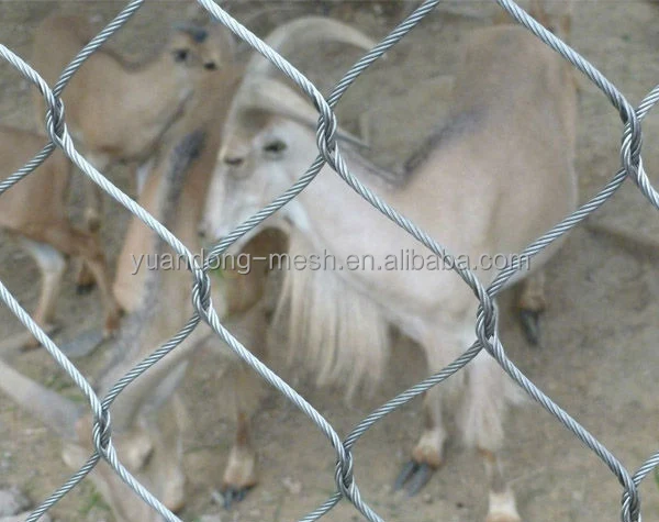 304 Stainless Steel Wire Rope Mesh-15.jpg