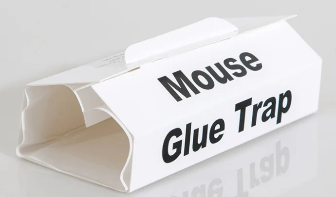 MOUSE GLUE TRAP