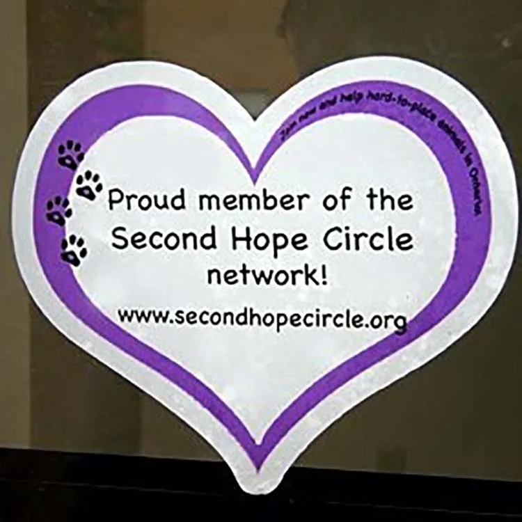 Factory Wholesale Cheap Custom Clothing Label Tag Shirt Tag Buy Hang