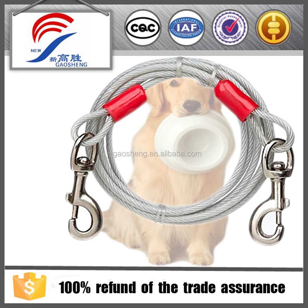 white dog tie out.jpg