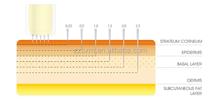 B`]7]PZKL1N5)8284}]Z7R.png