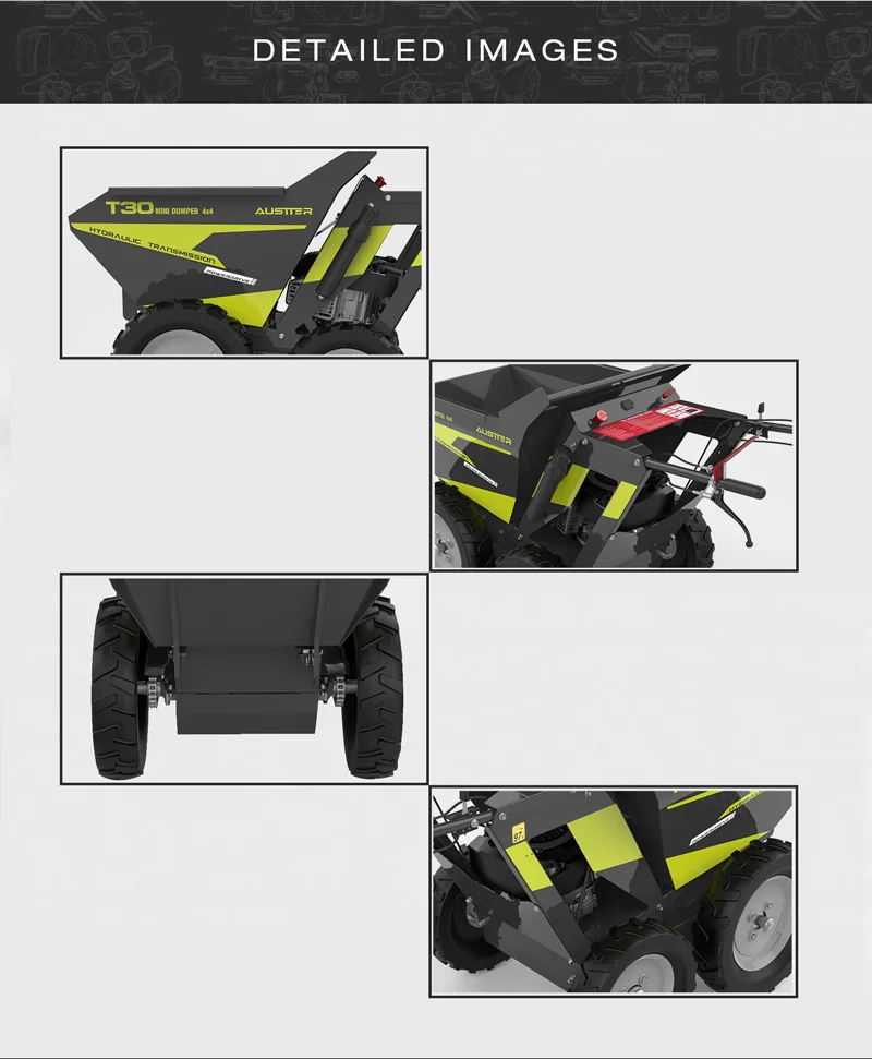 T30_7.jpg