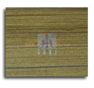 20100630112325.jpg