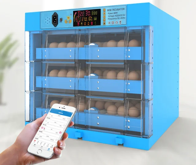 Mini egg incubator machine