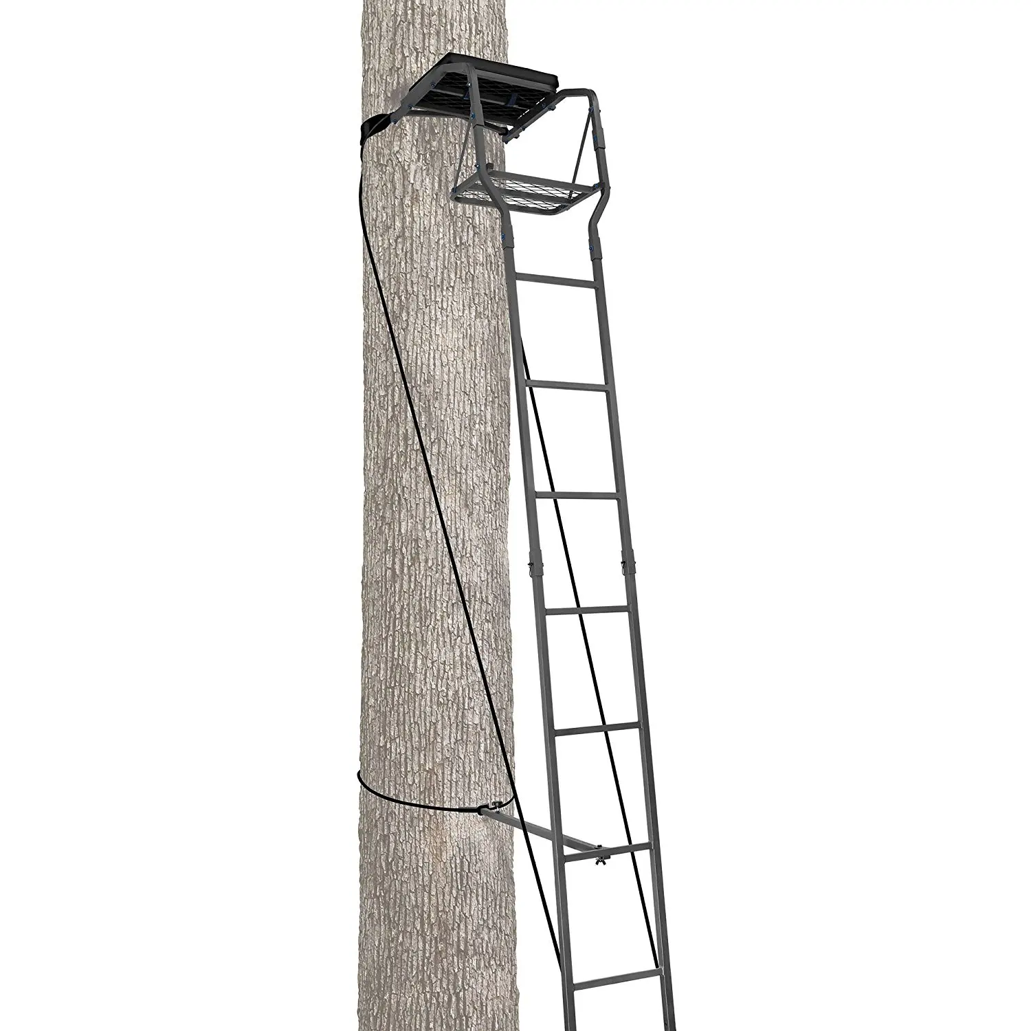 deer ladder stands