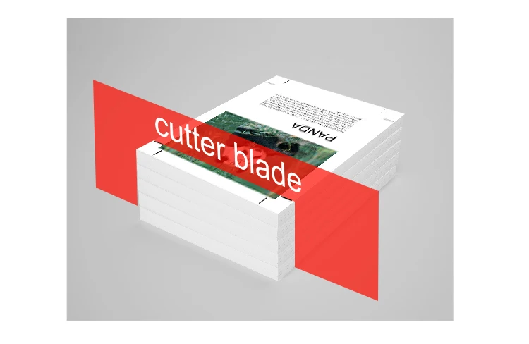 Large Size A0 A2 A3 Custom Digital Wall Poster Printing for promotion