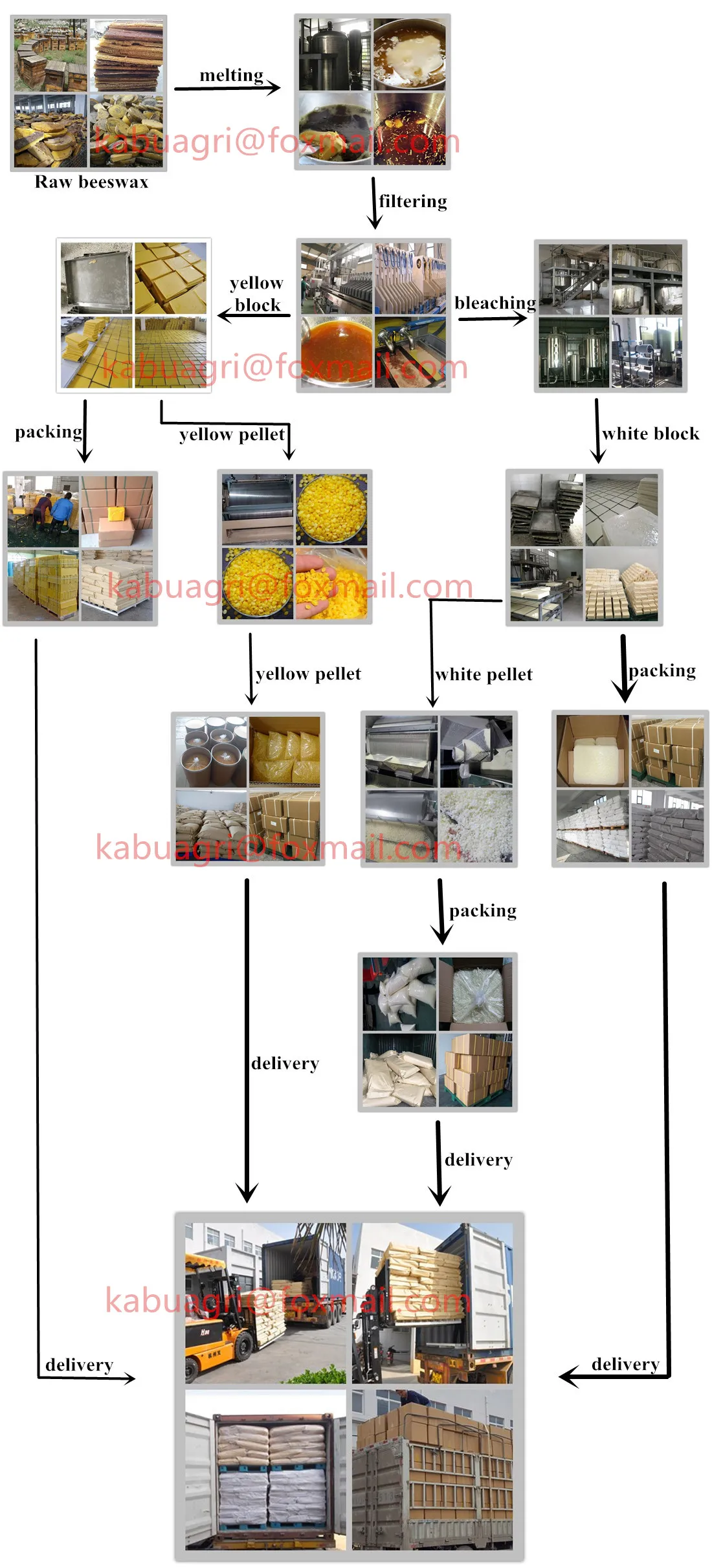 chart_.jpg