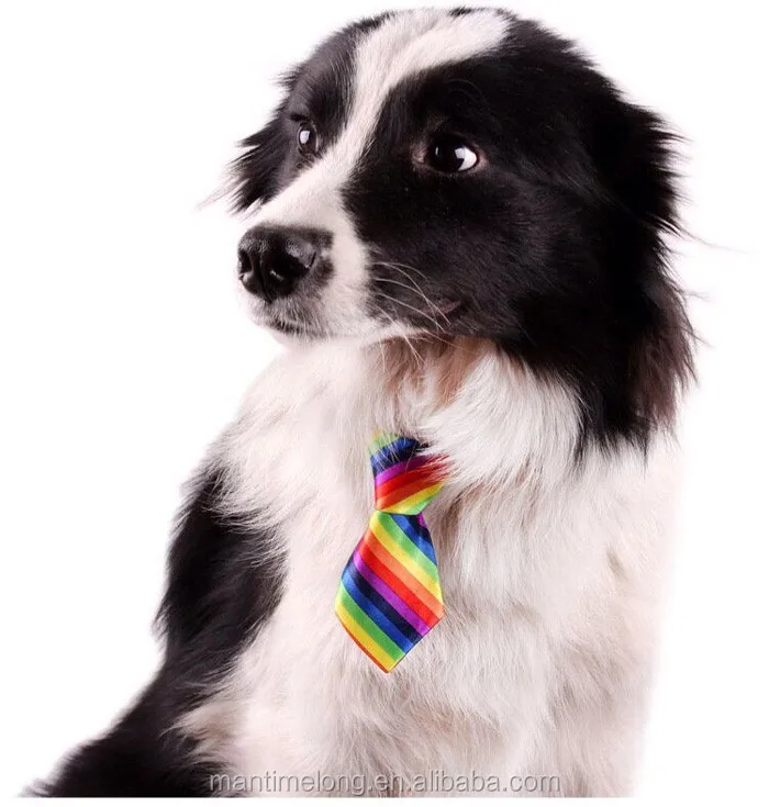 dog grooming ties