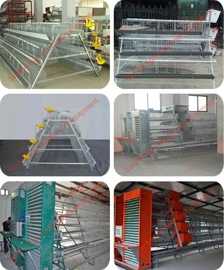 4 tier chicken layer cages automatic poultry cages galvanized wire mesh battery broiler cage price for Uganda Philippine sale