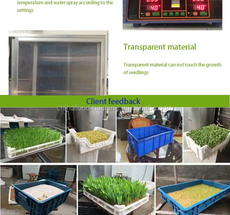 400 kg tray type commercial electric automatic hydroponic barley green beans seedling mung bean sprout machine