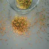GK506 Under different flash will change different colors glitter powder used for shoes/DIY/tumber/cup/hat