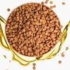 2019 Hot Sale of Protein Rich Chicken Flavor Cat Food in Bulk Quantity
