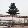 communication tower telecom tower camouflaged tree tower bionic telecom artificial tree