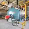 Automatic 10 TON Diesel Oil Gas Fired steam boiler for food industries