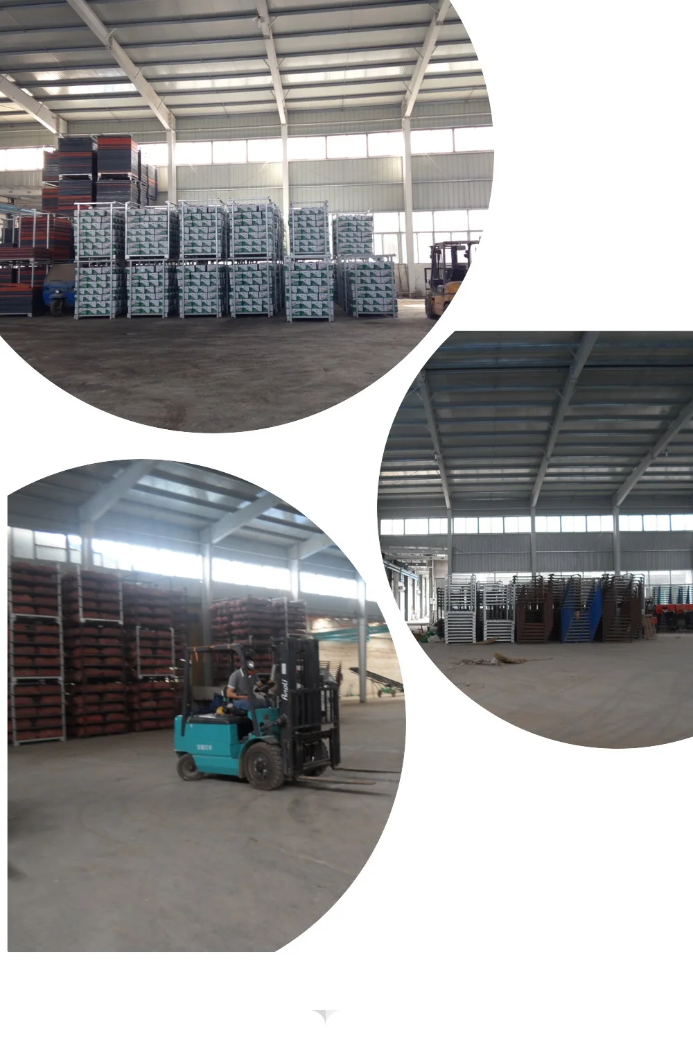 fresh garlic factory