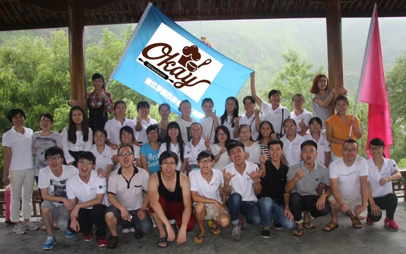 High quality Non-Stick teflon baking sheet with silicone handle (BK-D5025L)