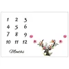 Good price nice quality OEM fleece wreath prop baby milestone blanket